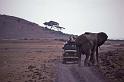 WT 1400 209-35 Kenya